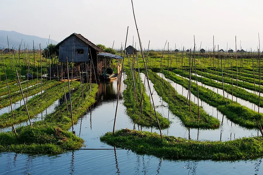 Floating Farms